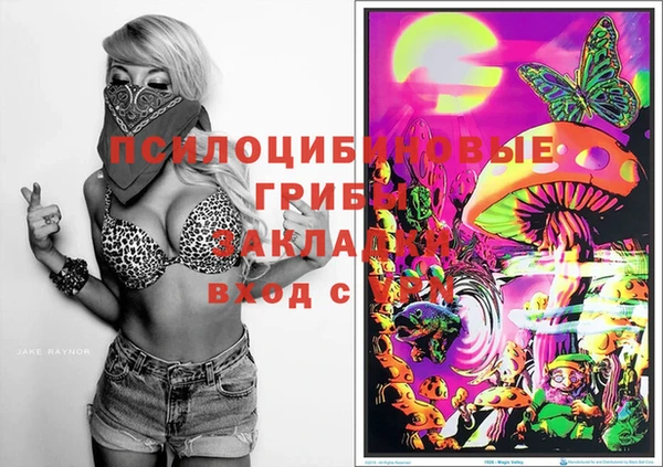 мдпв Абдулино