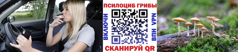 hydra ONION  Горячеводский  Псилоцибиновые грибы мицелий  купить наркотик 